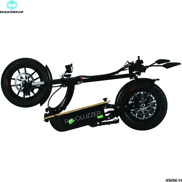 2019 electric folding mobility scooter electric car 48v 1600W Balancing Electrical Scooter for adult