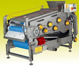 Customized Compound fruit juice processing line Mango peeled Pitting machine