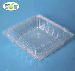 170g clear blister clamshell plastic raspberry containers