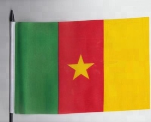 Cameroon ธงโบกมือป้ายผ้าไนลอนผ้าซาตินสีเขียวสีแดงสีเหลืองแบบถือด้วยมือออกแบบได้ตามต้องการ - Product Image 2