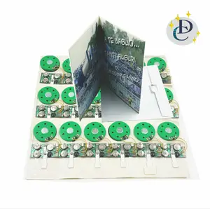 Promozione OTP IC chip modulo audio per biglietto di auguri da scrittore di programmazione