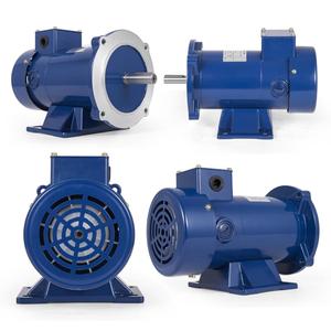 <span class=keywords><strong>Motor</strong></span> CC de imán permanente TEFC de 90V 1750RPM con clase de aislamiento F 1/4 HP - Product Image 2