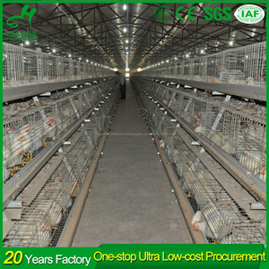 Caliente galvanizado <span class=keywords><strong>jaula</strong></span> de aves de corral automática huevo <span class=keywords><strong>gallinero</strong></span> diseño por capas - Product Image 6