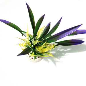 Plantes Vivantes/Bolbitis Heudelotii/Africain Fougère D'eau/Très facile - Product Image 2