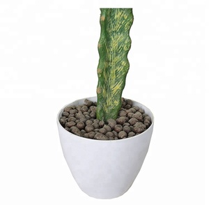 Quasi naturale piante succulente <span class=keywords><strong>cactus</strong></span> vasi artificiale <span class=keywords><strong>pianta</strong></span> <span class=keywords><strong>di</strong></span> <span class=keywords><strong>cactus</strong></span> - Product Image 2