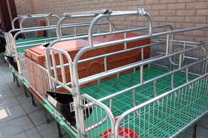 Doble diseñador que contiene 2 Cerdas de cerdo, <span class=keywords><strong>jaula</strong></span>/<span class=keywords><strong>jaula</strong></span> - Product Image 2