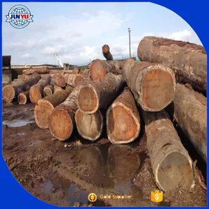 Tali wood logs Junyu the nice price cameroon 70 and up diameter no cracks  nice grain  high moisture content