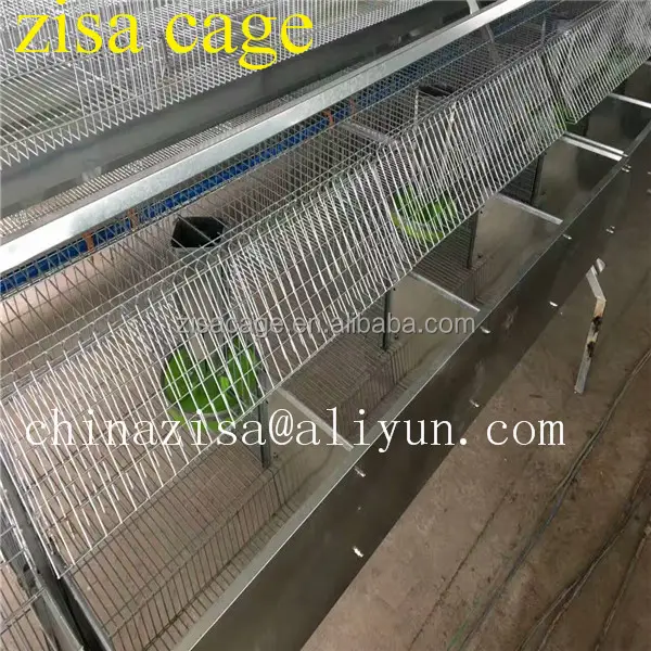 Zisa फैक्टरी 2 स्तरों 3 स्तरों 4 स्तरों खरगोश खेती पिंजरों के लिए बिक्री