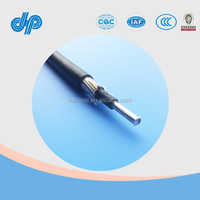10mm2 aislamiento de PVC de fase única concéntricos Cable de aluminio con dos núcleo de cobre Cable de comunicación