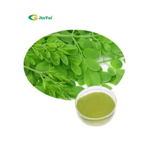 moringa powder leaf moringa leaves extract powder moringa leaf powder price