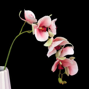Orquídeas artificiales decorativas para boda, arreglo de flores, orquídeas artificiales, <span class=keywords><strong>Phalaenopsis</strong></span>, <span class=keywords><strong>precio</strong></span> de fábrica, venta al por mayor - Product Image 6