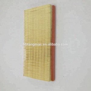Filtro Aria PW811941 per Proton da Produttore Professionale - Product Image 5