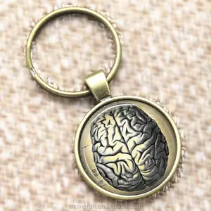 Não Keyring, Con Người Giải Phẫu Y Tế Khoa Học Phrenology Keyring Côn Trùng Fob Xe Ô Tô Thủy Tinh Keyring