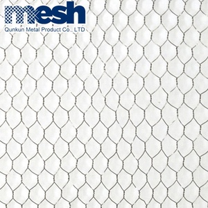 Mạ kẽm gia cầm dây lưới/cá nồi dây/mạ kẽm <span class=keywords><strong>net</strong></span> - Product Image 2