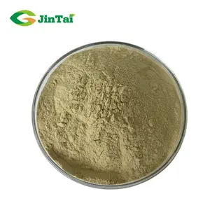 Aloe özü Aloe ferox Miller yaprağı ekstresi aloe vera özü - Product Image 2