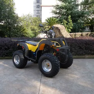 รถ Atv 150cc QUAD สำหรับขายในโลกกับ CE (JLA-13-2)