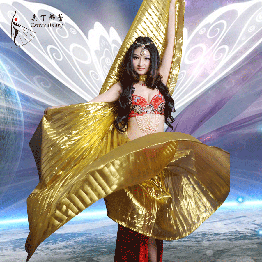 Isis Wings Belly Dance - Elegant Stage Performance Costumes