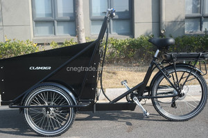 UB9036E-triciclo eléctrico para adulto, con ruedas, 36V, 9Ah - Product Image 5