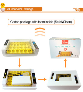 Incubateur à œufs de poulet YZ-24A <span class=keywords><strong>HHD</strong></span> Factory <span class=keywords><strong>Mini</strong></span> <span class=keywords><strong>24</strong></span> œufs - Product Image 5