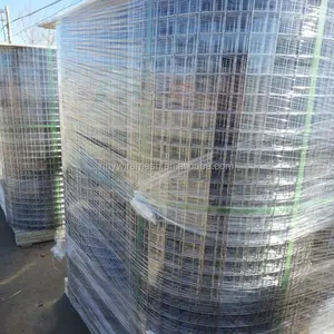Alibaba China Anping factory direct supplier galvanized welded wire mesh in roll for bird cages