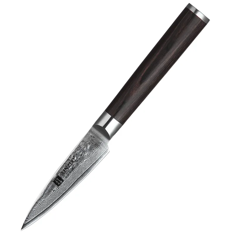 Kitchen Fruit Knife Japanese Damascus Steel 3.5 Inch B1H Paring Knife Carbon Steel Pakka Color Wood Handle 60-62 HRC Craftsman