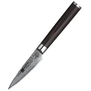 מטבח פירות סכין יפני דמשק פלדה 3.5 אינץ B1H קילוף סכין פחמן פלדה Pakka צבע עץ ידית 60-62 HRC אומן