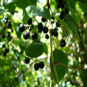 Polvo de Aristotelia Chilensis 100% Natural de Grado Alimenticio GMP de Alta Calidad, Extracto de <span class=keywords><strong>Maqui</strong></span> Berry Soluble en Agua, Envasado al Vacío en Tambor - Product Image 2