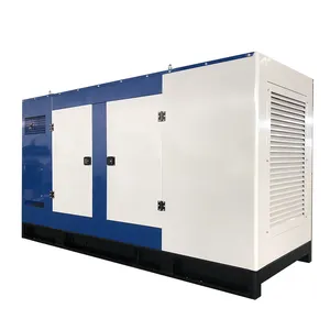 30kW 40 kWa Biogas LPG Biomasse Erdgas Klein betriebener 220V 200kW Dreiphasen-Silent-Erdgas generator für Cummins