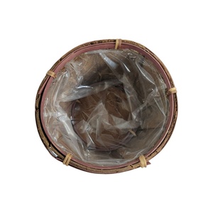 Chậu Hoa Vỏ Cây Phong Cách Mộc Mạc Đồng Quê Hoặc Chậu Hoa Vỏ Cây - Product Image 2