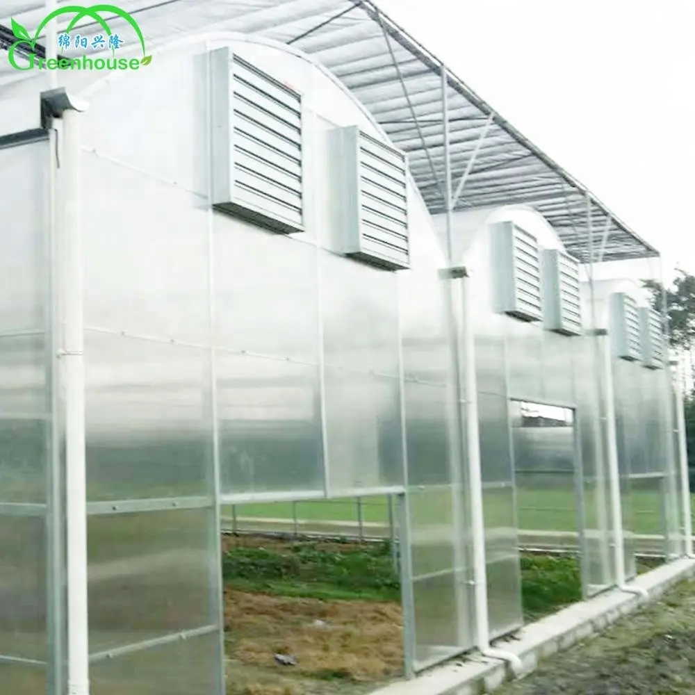 XL商業用ポリカーボネートシート水耕栽培システム農業用温室