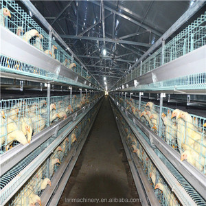 Bajo costo capa automática recolección <span class=keywords><strong>de</strong></span> huevos jaula <span class=keywords><strong>pollo</strong></span> con gallinero diseños libres - Product Image 3