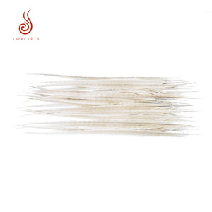 Chất lượng cao bán buôn tẩy trắng dài gà lôi lông 60-65cm cho trang trí - Product Image 2