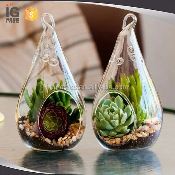 Goedkope drop glas terrarium air plant succulent terrarium