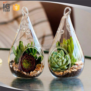 <span class=keywords><strong>Terrarium</strong></span> en verre à bas prix pour plantes aériennes et succulentes - Product Image 1