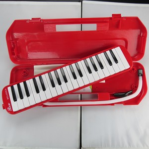 Nuovo disegno <span class=keywords><strong>strumenti</strong></span> <span class=keywords><strong>musicali</strong></span> 37 chiave melodica melodion con CONTENITORE in ABS per gli studenti - Product Image 2