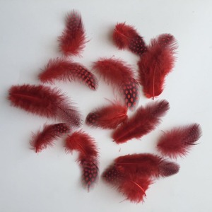 Plumas de Ganso de Alta Calidad al por Mayor, de 5-10 cm, con Puntos de Perla, para Joyería, Manualidades, Ropa y Accesorios - Product Image 2