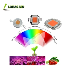 Lohas quang phổ đầy đủ <span class=keywords><strong>COB</strong></span> <span class=keywords><strong>LED</strong></span> chip Tùy chỉnh công suất cao 30W 50W <span class=keywords><strong>150W</strong></span> 200W <span class=keywords><strong>Epistar</strong></span> <span class=keywords><strong>LED</strong></span> Light <span class=keywords><strong>COB</strong></span> 10W <span class=keywords><strong>Led</strong></span> Chip cho chiếu sáng trong nhà - Product Image 4