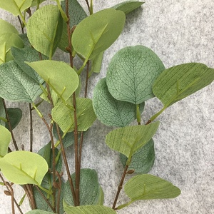 Plante artificielle <span class=keywords><strong>d</strong></span>'<span class=keywords><strong>eucalyptus</strong></span> artificielle en soie, 6 branches, 36 pouces, Faux feuilles <span class=keywords><strong>d</strong></span>'<span class=keywords><strong>eucalyptus</strong></span> artificielles pour la <span class=keywords><strong>d</strong></span>écoration - Product Image 5