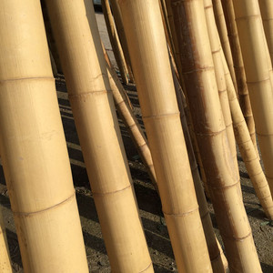 Bastones de bambú crudos, bastones de <span class=keywords><strong>tutor</strong></span> baratos, uso de decoración, <span class=keywords><strong>planta</strong></span>, naturaleza, bastones de bambú, fábrica de China - Product Image 2