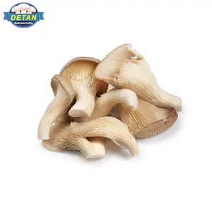 Detan冷凍pleurotus ostreatus/名前の食用キノコ