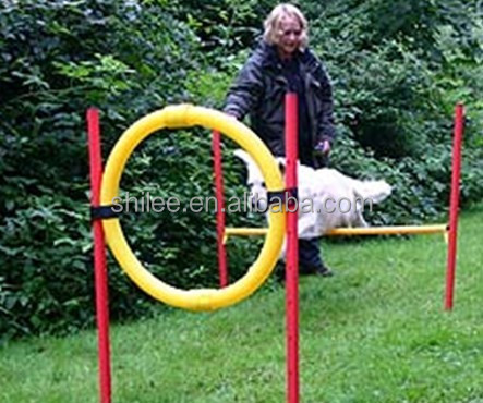 Исправный PE скорость ловкость Собака Обучение кольцо