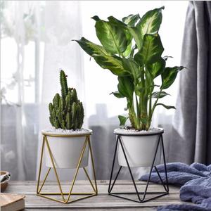 Super <span class=keywords><strong>septembre</strong></span>, présentoir de jardin/fleuriste, étagère <span class=keywords><strong>en</strong></span> métal, support pour plantes, pot de <span class=keywords><strong>fleurs</strong></span> - Product Image 5
