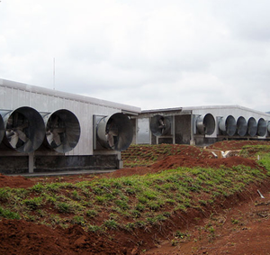 Iyi fiyat Modern tasarım otomatik kontrollü Nepal kanatlı ev tavuk kümesi - Product Image 5