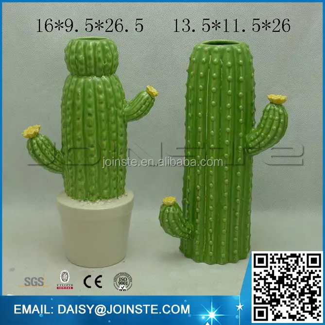 Seramik kaktüs topu, kırmızı kaktüs bitki, Echinopsis tubiflora