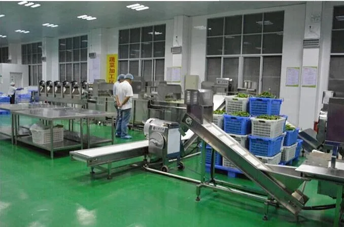 Factory Supply Big Capacity Commercial Fruit Juicer Machine Orange Juice Machine Apple Junice Machine Price