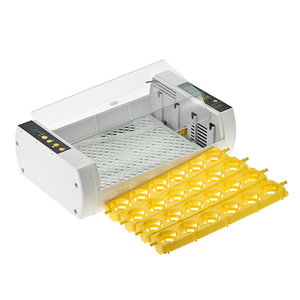 Incubateur à œufs de poulet YZ-24A <span class=keywords><strong>HHD</strong></span> Factory <span class=keywords><strong>Mini</strong></span> <span class=keywords><strong>24</strong></span> œufs - Product Image 2