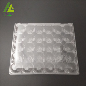 Vassoio per Uova in Plastica Trasparente Usa e Getta con 30 Scomparti - Product Image 5