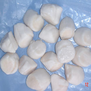 Sò Điệp Đông Lạnh 40 60 - Product Image 4