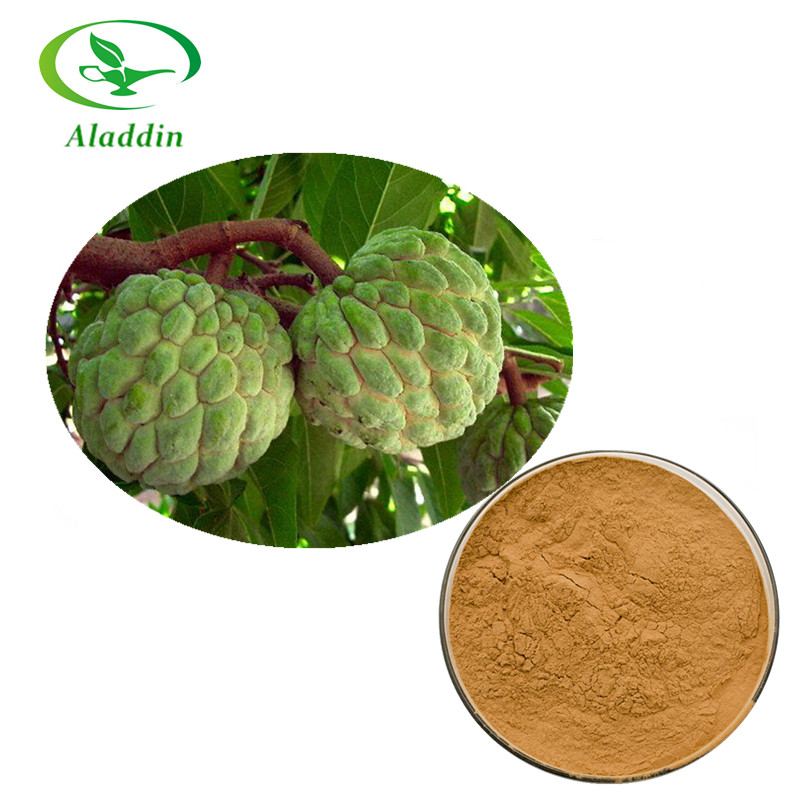 100% Pure Natural Custard Apple Fruit Extract Powder with Anti Cancer Function
