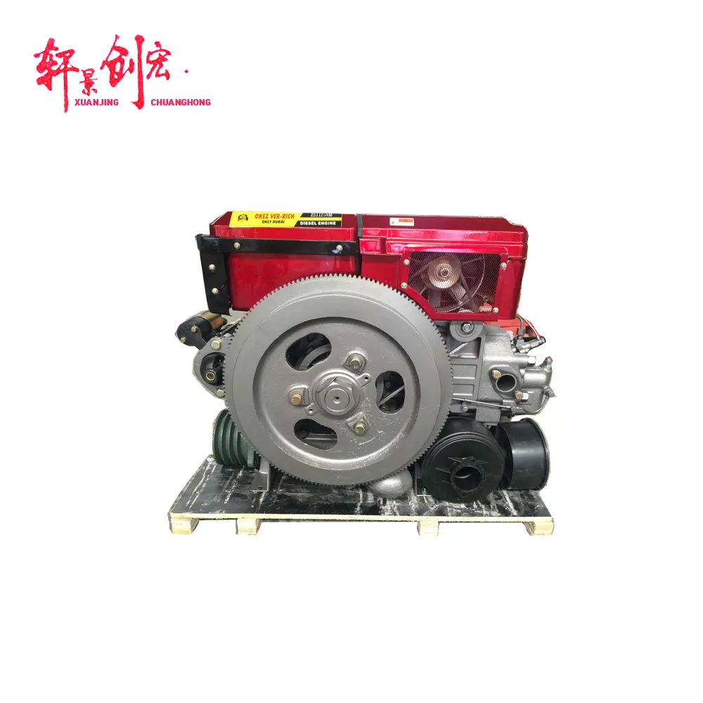 Китайский производитель, одноцилиндровый дизельный двигатель с водяным охлаждением ZS1125NM, с лампой